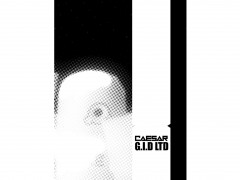 Caesar G.I.D LTD